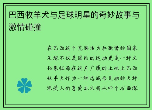 巴西牧羊犬与足球明星的奇妙故事与激情碰撞